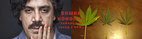ПСИЛОЦИБИНОВЫЕ ГРИБЫ Богородск