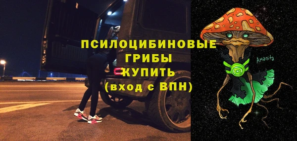 соль ск Богородицк