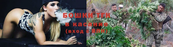 индика Белоозёрский