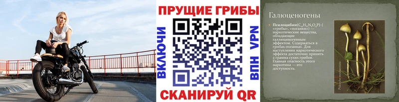 Псилоцибиновые грибы MAGIC MUSHROOMS Котово
